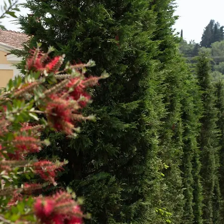 La Bella - Luxury House Close To Corfu Town Vilă *